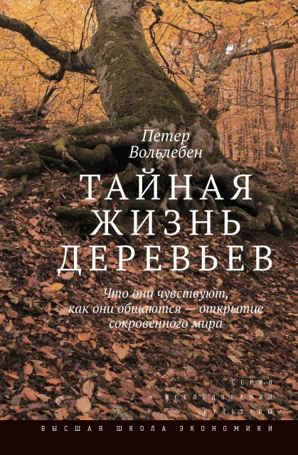 В Аудио Издательстве VIMBO вышла аудиоверсия книги "Тайная жизнь деревьев"